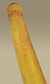Tsii' Edo' Ai (Apache Fiddle), Agave, wood, sinew, horsehair, Native American (Apache, probably)